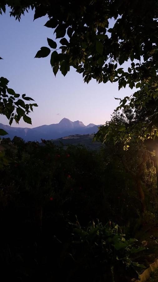 Il Girasole Bed & Breakfast Basciano Bagian luar foto