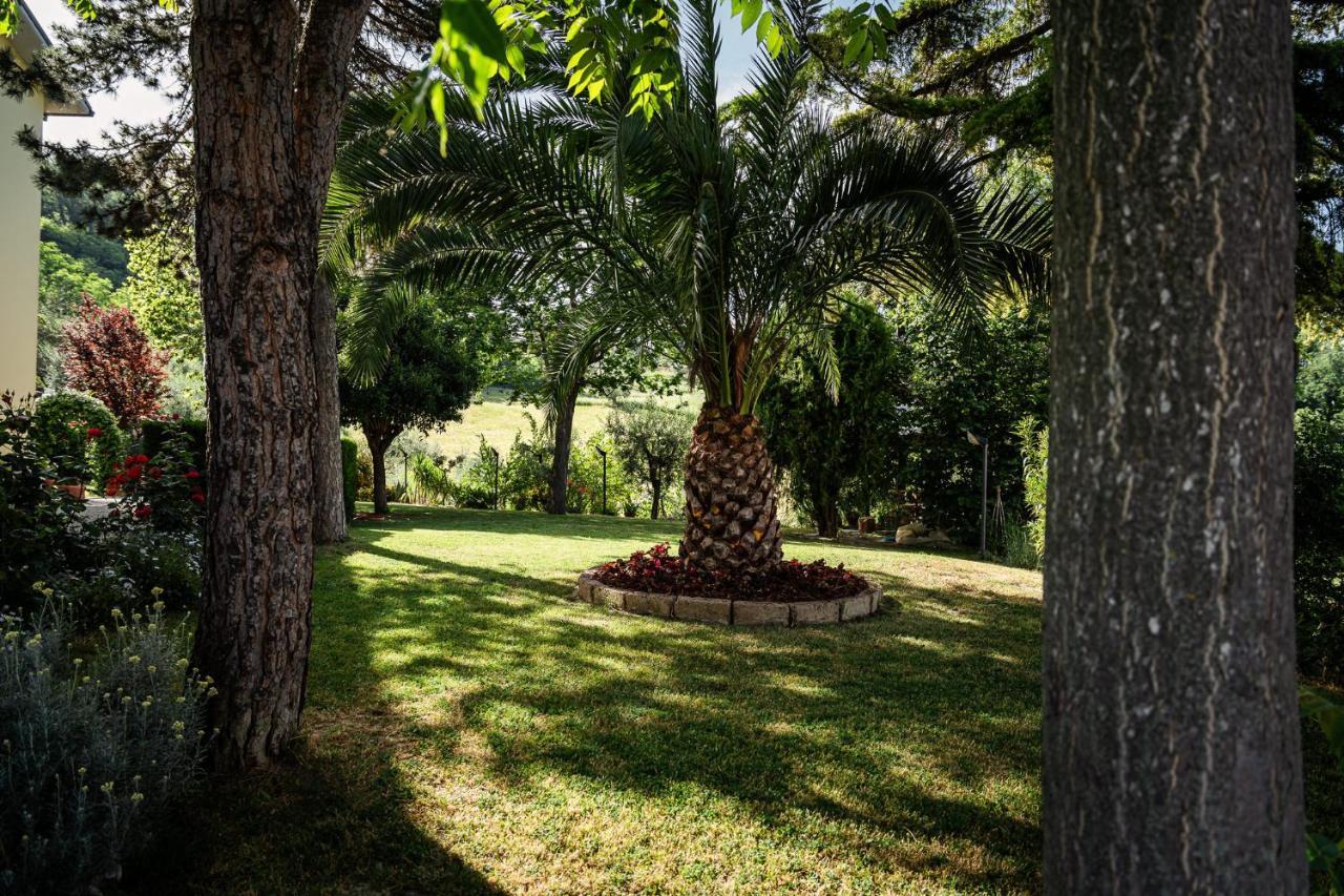 Il Girasole Bed & Breakfast Basciano Bagian luar foto