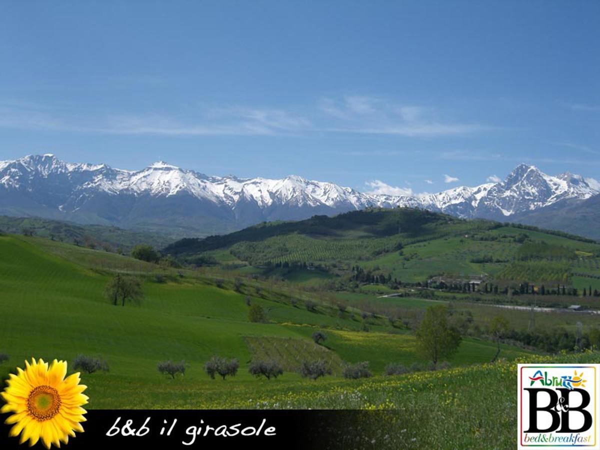 Il Girasole Bed & Breakfast Basciano Bagian luar foto