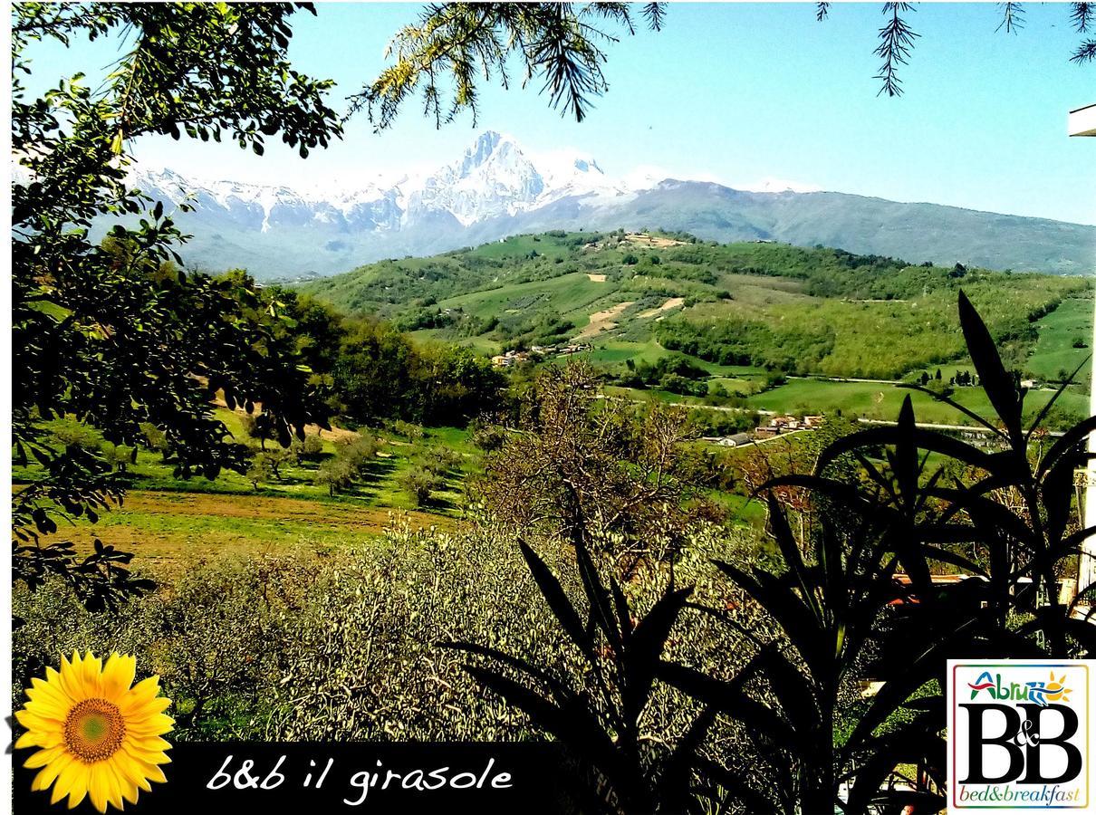 Il Girasole Bed & Breakfast Basciano Bagian luar foto